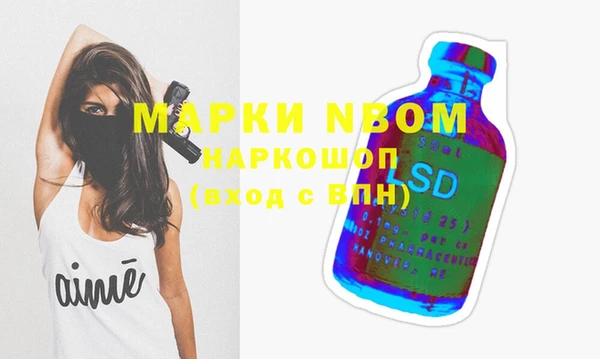 дмт Богданович