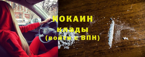 дмт Богданович