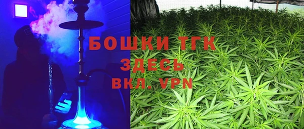 твердый Богородицк