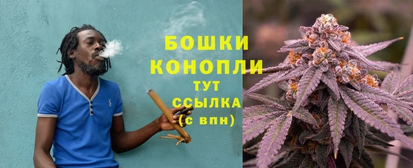 твердый Богородицк
