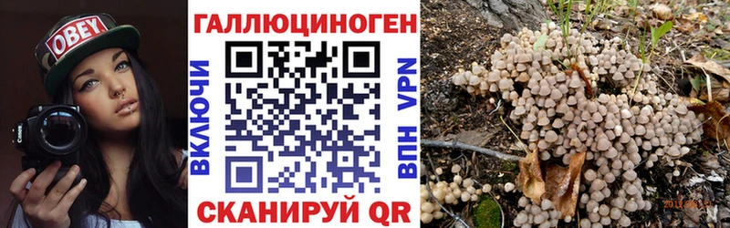 Псилоцибиновые грибы Psilocybe Бобров